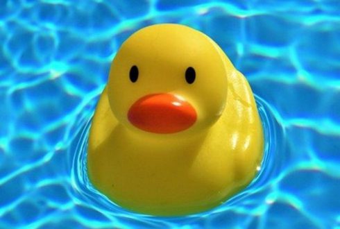 כיסוי ביטוחי לבריכות שחייה פרטיות