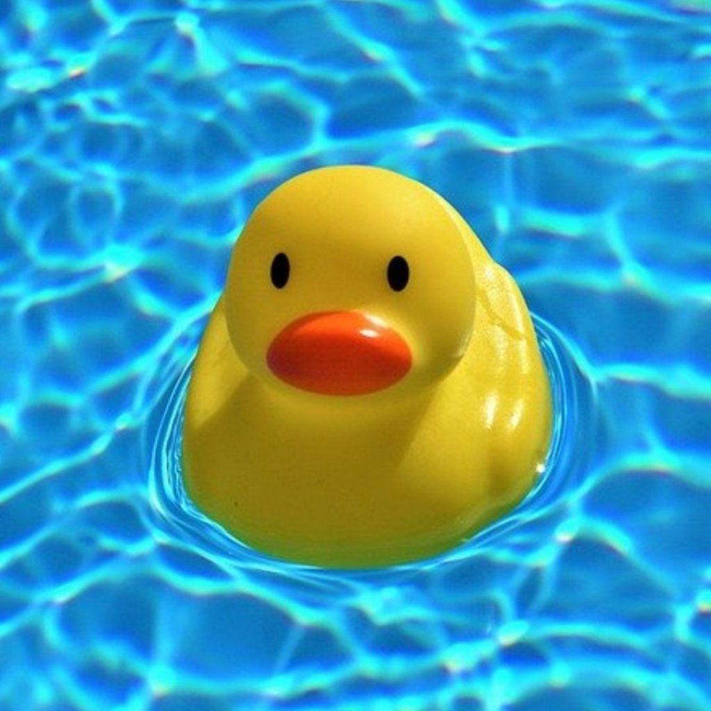 כיסוי ביטוחי לבריכות שחייה פרטיות